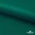 Ткань подкладочная Таффета, 19-5420, 53 г/м2, антистатик, шир. 150 см, вечнозеленый - купить в Томске. Цена 57.16 руб.