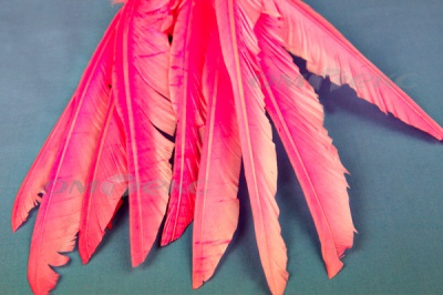 Декоративный Пучок из перьев, перо 25см/розовый - купить в Томске. Цена: 14.40 руб.