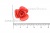 Украшение "Розы малые №1" 20мм - купить в Томске. Цена: 32.49 руб.