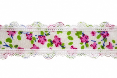Тесьма декоративная 0385-6170, шир. 25 мм/уп. 22,8+/-1 м, цвет 02-розовый - купить в Томске. Цена: 364.70 руб.