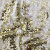 Трикотажное полотно, Сетка с пайетками, шир.130 см, #315, цв.-белый/золото - купить в Томске. Цена 693.39 руб.