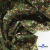 Ткань костюмная «Микровельвет велюровый принт», 220 г/м2, 97% полиэстр, 3% спандекс, ш. 150См Цв  #9 - купить в Томске. Цена 439.76 руб.