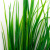 Трава искусственная -2, шт (осока 41см/8 см)				 - купить в Томске. Цена: 104.57 руб.