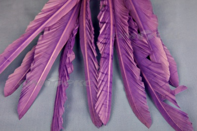 Декоративный Пучок из перьев, перо 25см/фиолетовый - купить в Томске. Цена: 12.19 руб.
