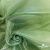 Ткань органза, 100% полиэстр, 28г/м2, шир. 150 см, цв. #27 зеленый - купить в Томске. Цена 86.24 руб.