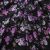 Плательная ткань "Фламенко" 20.1, 80 гр/м2, шир.150 см, принт растительный - купить в Томске. Цена 241.49 руб.