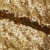 Сетка с пайетками №3, 188 гр/м2, шир.140см, цвет золотой - купить в Томске. Цена 458.76 руб.