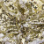 Трикотажное полотно, Сетка с пайетками, шир.130 см, #315, цв.-белый/золото - купить в Томске. Цена 693.39 руб.