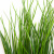 Трава искусственная -4, шт  (осока 50 см/8 см  7 листов)				 - купить в Томске. Цена: 130.73 руб.