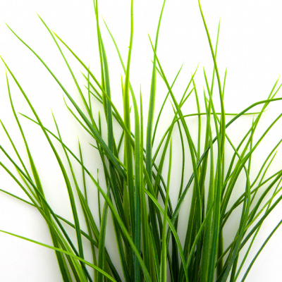 Трава искусственная -3, шт (осока 50 см/8 см  5 листов)				 - купить в Томске. Цена: 124.17 руб.