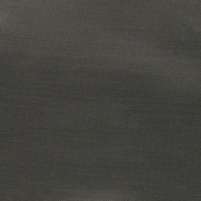 Ткань подкладочная Таффета 18-5203, 48 гр/м2, шир.150см, цвет серый - купить в Томске. Цена 54.64 руб.